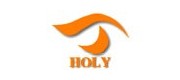 圣牌/holy