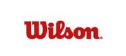 维尔胜/wilson品牌