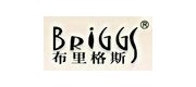 布里格斯/briggs品牌