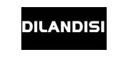 迪兰迪丝/DILANDISI品牌