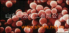 弹力磁性面料 磁性针织面料 磁性纺织面料