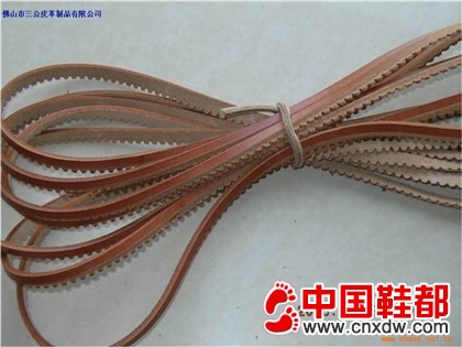真皮沿条