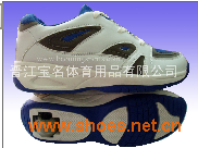 BM-DL031a