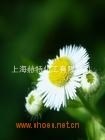 抗静电整理剂防静电整理剂纺织抗静电剂抗静电助剂