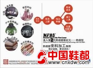TPU热熔胶膜