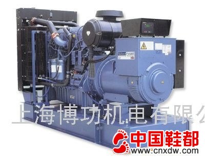 柏京斯柴油发电机组