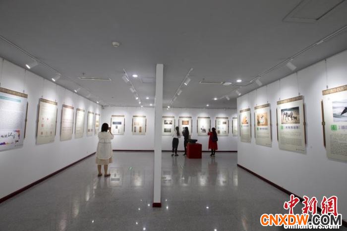 晋陕豫三地博物馆联展：以字为媒展示中华五千年文明发展进程