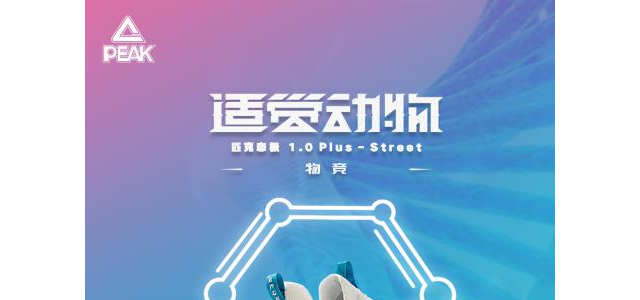 态极1.0 PLUS-物竞上市 匹克与消费者共创成佳话