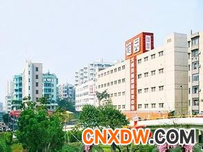 广州谊园玩具精品批发中心