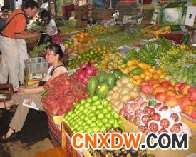 海南海口南北水果市场