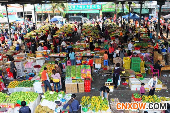 三亚鸿港水果批发市场
