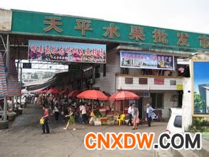 天平水果批发市场