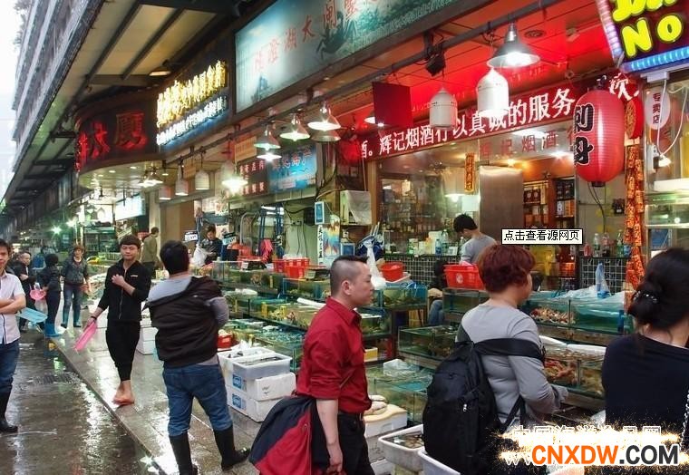 上海中心水产品批发交易市场