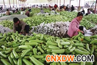 福州闽江蔬菜副食品贸易中心
