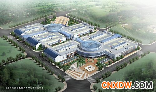 山东青岛城阳蔬菜批发市场