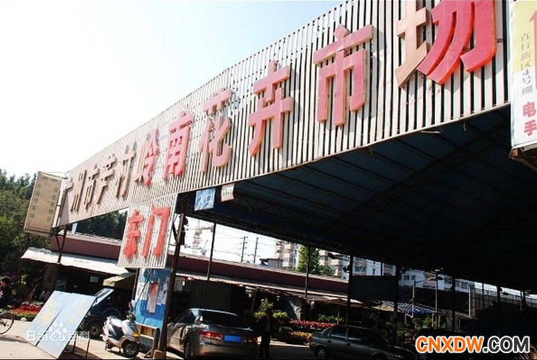  岭南花卉市场