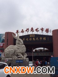 绍兴市新昌羊毛衫市场