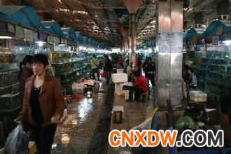 新路口海鲜批发市场