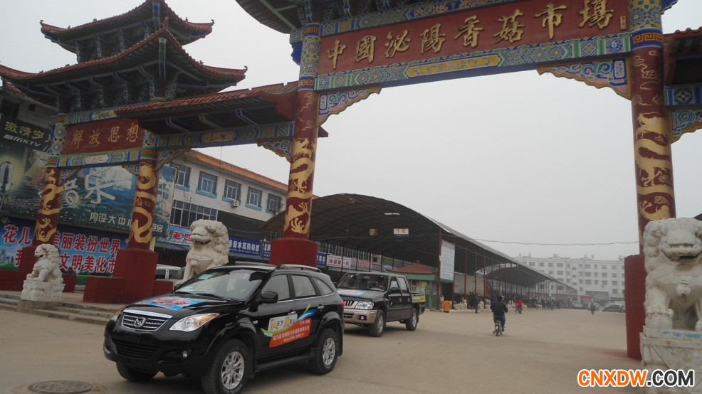 河南泌阳香菇批发市场