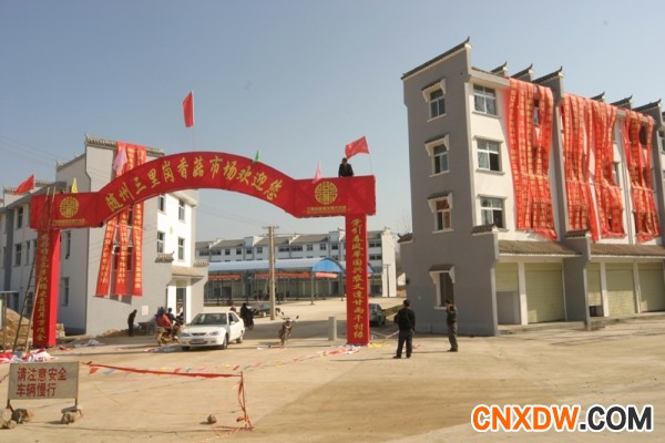 三里岗香菇市场