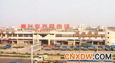 嘉兴农产品市场.jpg
