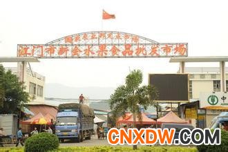 江门市新会香蕉批发市场