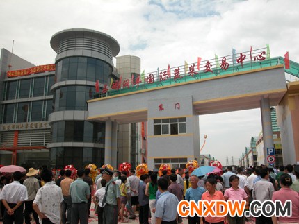 东莞市果菜香蕉.jpg