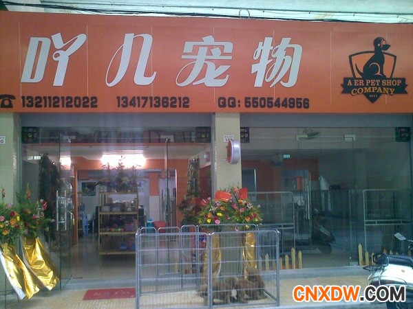 金凤宠物批发市场