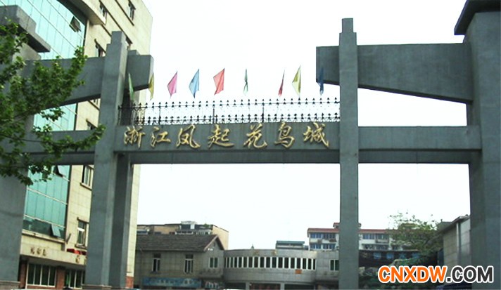 凤起路宠物批发市场