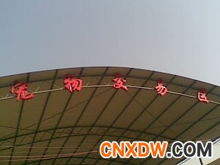 京东宠物批发市场