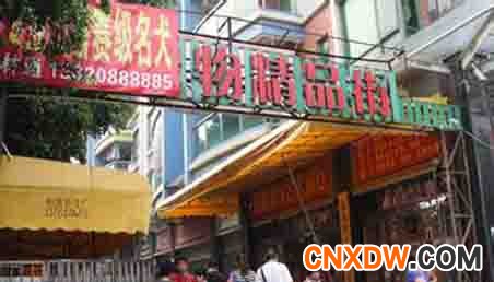 佛山大沥宠物批发市场