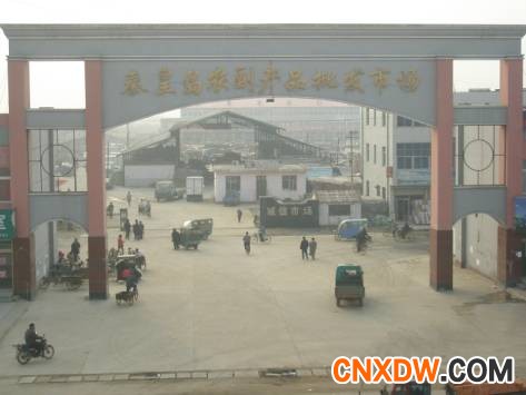 河北秦皇岛（昌黎）农副产品批发市场