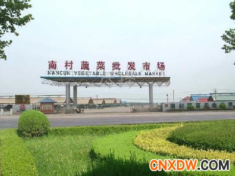 山东青岛平度市南村蔬菜批发市场