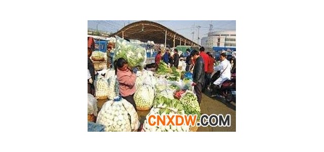 山东肥城蔬菜批发市场