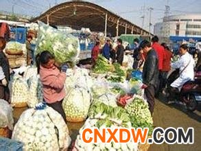 山东肥城蔬菜批发市场