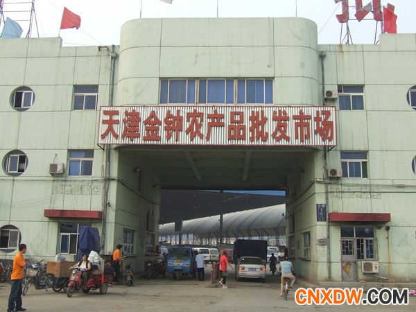 天津市东丽区金钟蔬菜市场