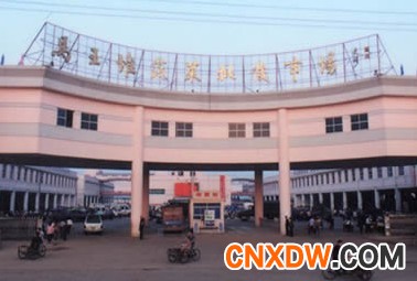 湖南长沙马王堆蔬菜批发市场