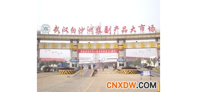 湖北武汉白沙洲农副产品大市场