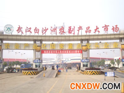湖北武汉白沙洲农副产品大市场