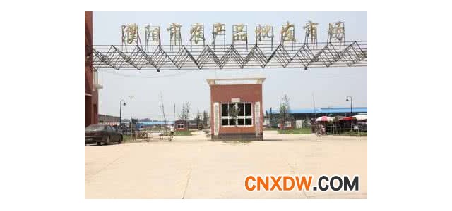 河南省濮阳市王助蔬菜瓜果批发市场