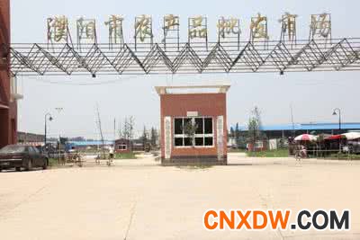 河南省濮阳市王助蔬菜瓜果批发市场