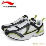 Z李宁2010新款单网透气鞋男鞋ARFE02..