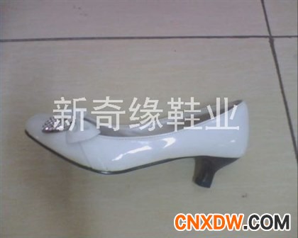 时装女鞋2