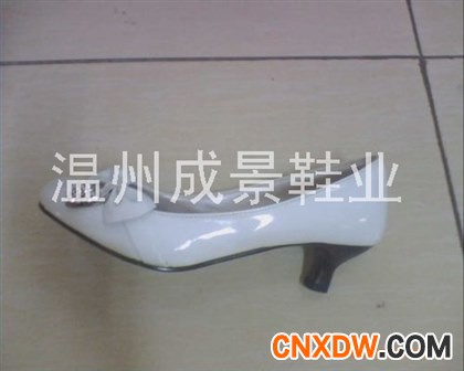 时装女鞋2