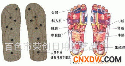 反射区与木屐鞋对应穴位图