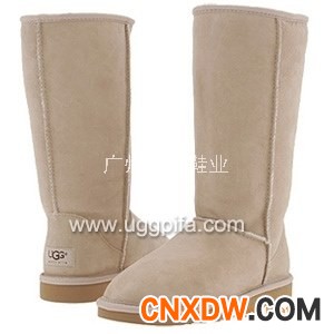 ugg 雪地靴 5815