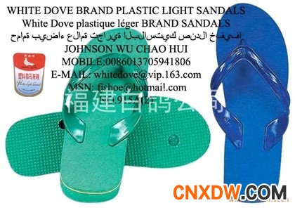 White dove pvc/pe flip flop beach slipper1