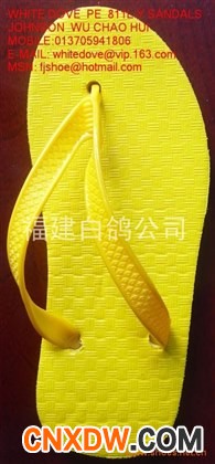 811L slipper /811 pve slippers 1