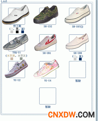 其他类硫化鞋
