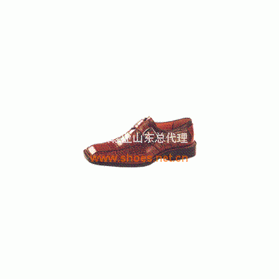 双凤牌男女式系列皮鞋